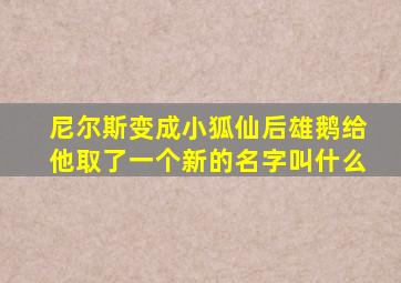 尼尔斯变成小狐仙后雄鹅给他取了一个新的名字叫什么