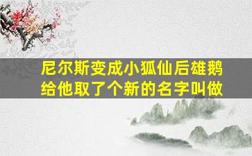 尼尔斯变成小狐仙后雄鹅给他取了个新的名字叫做