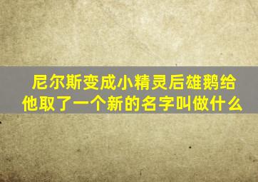 尼尔斯变成小精灵后雄鹅给他取了一个新的名字叫做什么