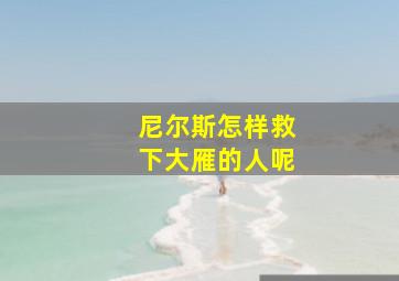 尼尔斯怎样救下大雁的人呢