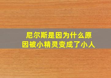 尼尔斯是因为什么原因被小精灵变成了小人