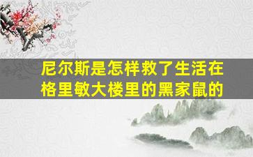 尼尔斯是怎样救了生活在格里敏大楼里的黑家鼠的