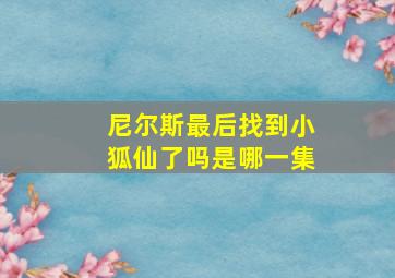 尼尔斯最后找到小狐仙了吗是哪一集