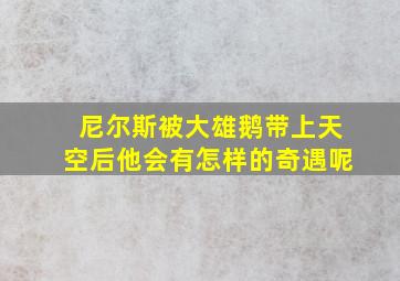 尼尔斯被大雄鹅带上天空后他会有怎样的奇遇呢