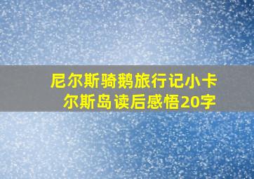 尼尔斯骑鹅旅行记小卡尔斯岛读后感悟20字