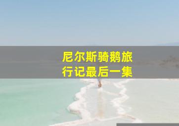 尼尔斯骑鹅旅行记最后一集