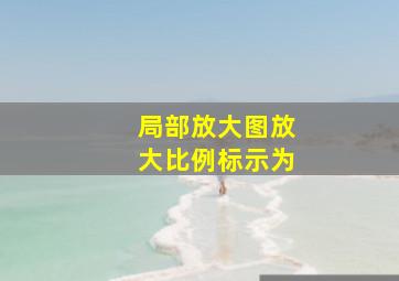 局部放大图放大比例标示为