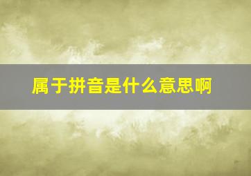 属于拼音是什么意思啊