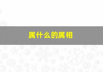 属什么的属相