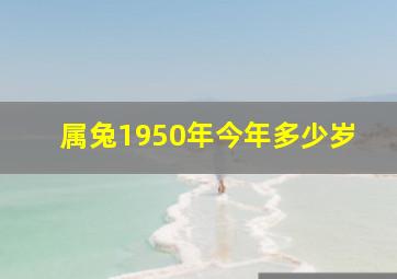 属兔1950年今年多少岁