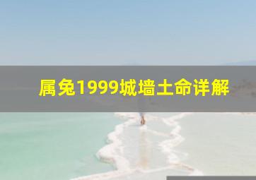 属兔1999城墙土命详解