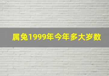 属兔1999年今年多大岁数