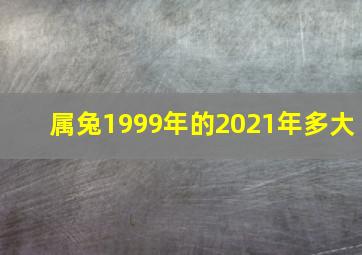 属兔1999年的2021年多大