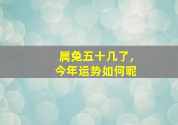 属兔五十几了,今年运势如何呢