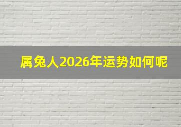 属兔人2026年运势如何呢