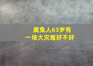 属兔人63岁有一场大灾难好不好