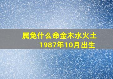 属兔什么命金木水火土1987年10月出生