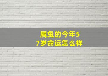 属兔的今年57岁命运怎么样