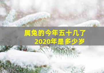 属兔的今年五十几了2020年是多少岁