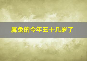 属兔的今年五十几岁了