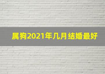 属狗2021年几月结婚最好