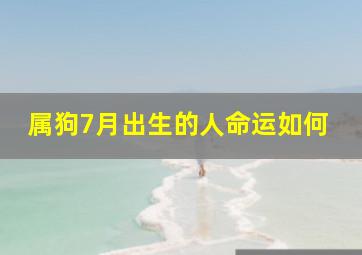 属狗7月出生的人命运如何