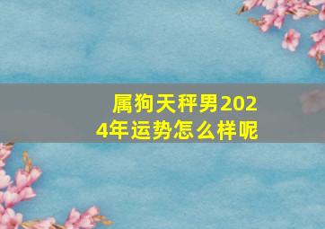 属狗天秤男2024年运势怎么样呢