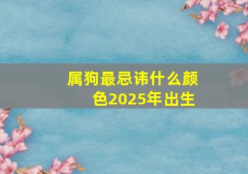 属狗最忌讳什么颜色2025年出生