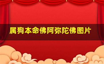 属狗本命佛阿弥陀佛图片