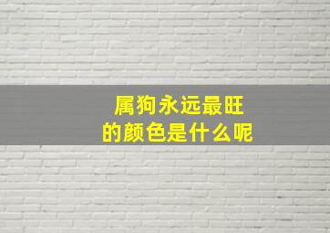 属狗永远最旺的颜色是什么呢