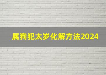 属狗犯太岁化解方法2024