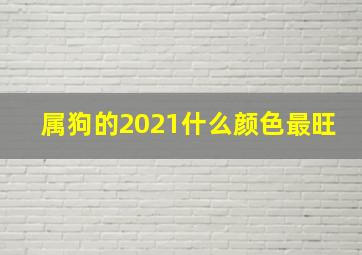 属狗的2021什么颜色最旺