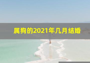 属狗的2021年几月结婚