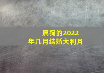 属狗的2022年几月结婚大利月