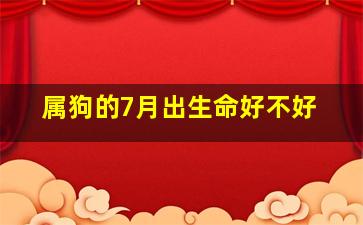 属狗的7月出生命好不好