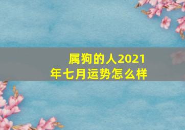 属狗的人2021年七月运势怎么样