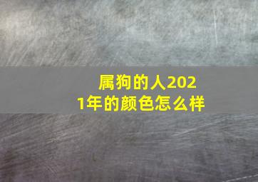 属狗的人2021年的颜色怎么样