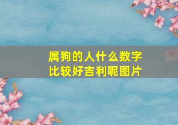 属狗的人什么数字比较好吉利呢图片