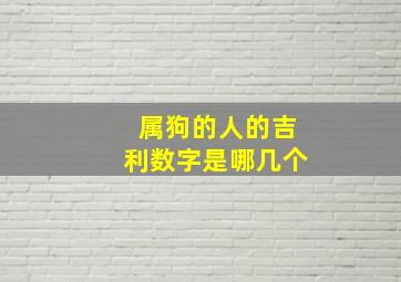 属狗的人的吉利数字是哪几个