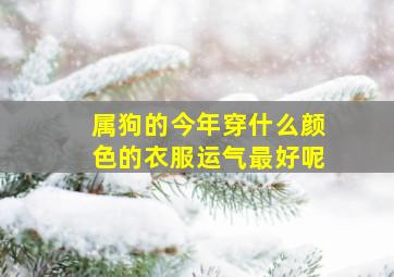 属狗的今年穿什么颜色的衣服运气最好呢