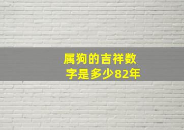 属狗的吉祥数字是多少82年