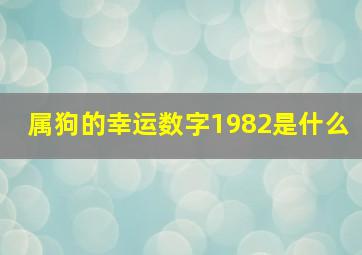 属狗的幸运数字1982是什么