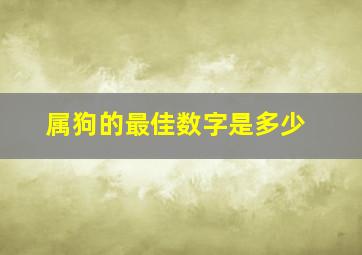 属狗的最佳数字是多少