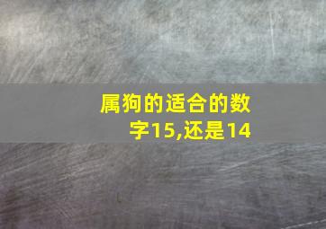 属狗的适合的数字15,还是14