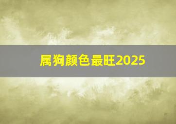 属狗颜色最旺2025