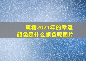 属猪2021年的幸运颜色是什么颜色呢图片