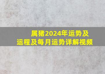 属猪2024年运势及运程及每月运势详解视频