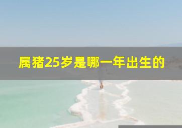 属猪25岁是哪一年出生的