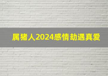 属猪人2024感情劫遇真爱