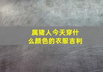 属猪人今天穿什么颜色的衣服吉利